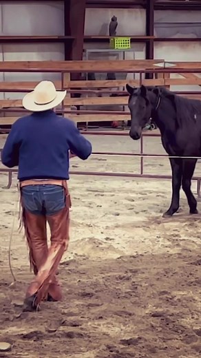 Coming soon to TheBuckChannel.com #buckbrannaman #thebuckchannel #horsemanship | The Buck Channel - Buck Brannaman Horsemanship