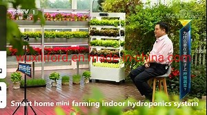 [Hot Item] Home Hydroponic Growing Systems Home Decorative Garden Container Farm Hydroponics