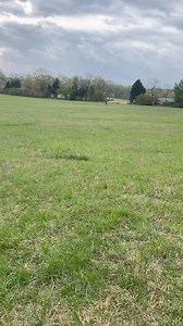 1.1K views · 68 reactions | SCOUT Started level black female available •DOB 5/31/2022 •obedience • force fetch •steady singles/simple doubles •force to pile •intro to whistle sit Pm or call pedigree and more info @eukanubasportingdog @eukanuba @yeti @sportdogbrand #deerskin #huntingdog #hunttest #huntingseason #wfk #builtstronger | Webb Footed Kennel | Facebook