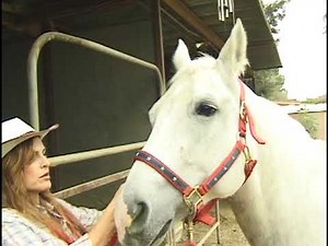 Belinda Gavin's American Gladiator audition