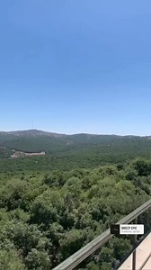 1.1K views · 69 reactions | Ajloun Forest Reserve  محمية غابات عجلون  | The Royal Society for the Conservation of Nature | Facebook
