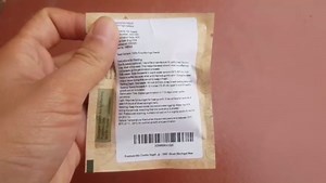 Premium Climbing Rose Seeds for Planting Outdoors, 100+ Heirloom Rose Seeds for Planting, Climbing Rose Flower Seeds for Trellis Fence Arch Pergola, Vertical Garden Vine