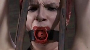 Cbt Cock Tortured With Insects Mobile Sex HQ Videos - Watch and Download Cbt Cock Tortured With Insects Hot Porn at RajWap.xyz