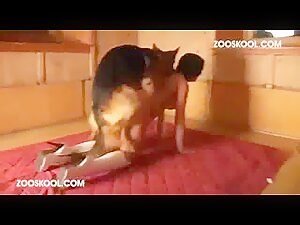 Zooskool - Stray X - The Record - Part 7