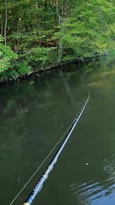22K views · 760 reactions | 1Rod1ReelFishing hooked into a Mondo! #fishing #bassfishing #googansquad | Googan Squad | Facebook