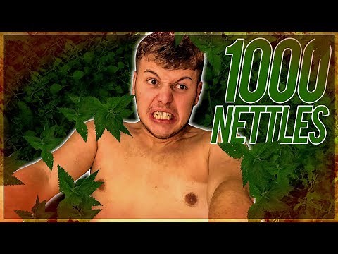 COVERED MY BRO WITH 1000 STINGY NETTLES