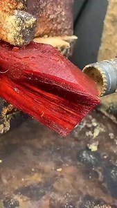 Wooden beads | Wild Nature