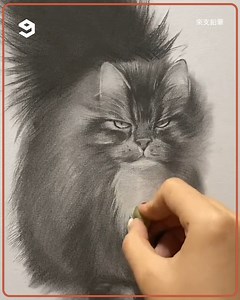 99K views · 728 reactions | draw fluffy animals with pencil. | 9GAG Vibes | Facebook