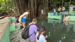Laag Siquijor Balete tree | Ingrid in Bosnia