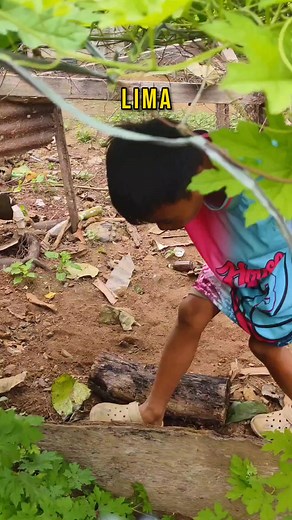 LIMA | HapiKid Ampol #hapiyesjokes #hapihausph #hapikidsph #funnyreels HapiYes Tv DKB Stories | Goorio