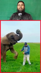 10K reactions · 226 shares | The extraordinary friendship between elephants and humans #fblifestyle #elephant #fyp #trending | Zahidul Islam | Facebook