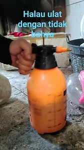 22K views · 1.1K reactions | Halau ulat makan daun sayor lobak dan lain2 #malaysia #carahidup #untukfikir #คำเตือนใจ | Supee Diy | Facebook