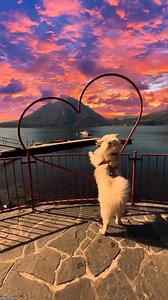 Good Morning ☀️ #goodmorning #thursday | Kristen Sorrells Franklin