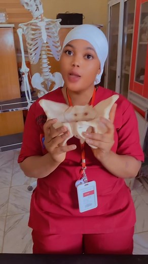 Bony Pelvis Anatomy for Student Midwives