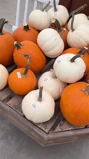 2.2K views · 25 reactions | There are so many great things to do in...