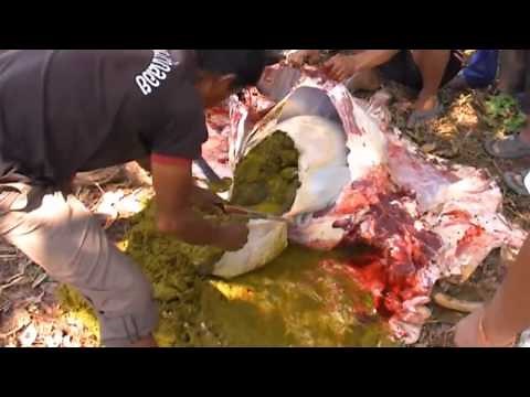 Rind zerlegen in Nordost Thailand