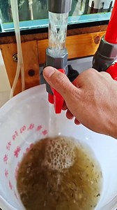 Check out this water filter for aquariums🐟 | Viral Stories