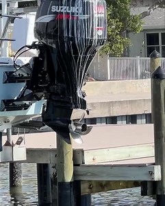 Caption this!!! | Salt Strong