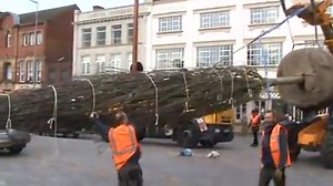 The first of the large trees has just arrived in Jubilee Square. | BBC Leicester