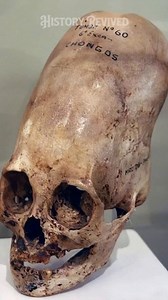 Bringing the elongated skulls of Peru to life, from the ancient Paracas culture and their practice of cranial deformation. 📹historyrevivedofficial