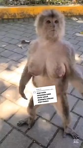 i want problems always 🤣🤣 morning Ritzmcleish Strawbae | Clide Rice