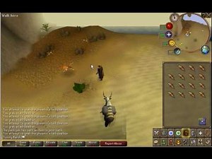 Runescape - Phoenix feather guide