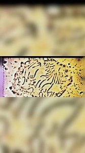 #thegreatawakeninguncensored #higherconsciousness #dimensions #truth #frequency #lies #digitalcreators #mlm #quantumfield #ascension #stargates #soulpreneurs #indigo #agenda #timelines #mysteryschool #perception #nefarious #wakeywakey #mind #dna #epigenetics #hiddentruth #forbiddenknowledge #truthbetold | Kimberly Atkinson