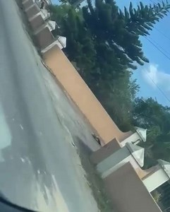 12K views · 57 reactions | Police asking for a breathalyzer test. They most be so shocked at how these accidents are happening. Eyewitness said female driver was so drunk but was trying to dispose of the evidence before the police arrived by pouring out bottles etc. in the bushes. | Cayman Marl Road | Facebook