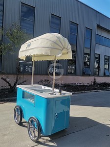 [Hot Item] Mobile Trolley Rolled Cold Plate Ice Cream Vending Push Gelato Cart with Freezer for Sale