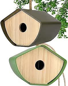 Bird Houses for Outside Hanging & Wall Mount - 2 x Colorful Outdoor Birdhouses for Small Nesting Birds with Modern 100% Wooden Bamboo Resin Material (Green & Brown)