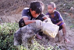 Two Kindly Boy Search & Rescue Dogs Stuck in Plastic Bottle and Buy Food For It | Vines | Facebook