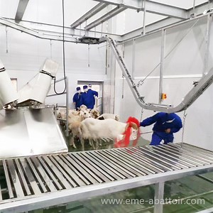[Hot Item] Sheep Slaughterhouse Meat Processing Machinery Lamb Abattoir Equipment Goat Slaughtering Machine