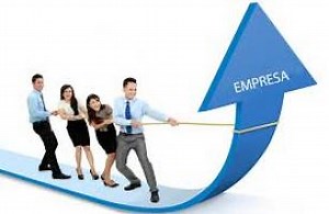 Definiciones de empresa
