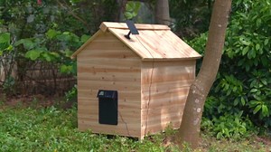 Automatic Chicken Coop Door with Light Sensor & Timer Control - Multi-Mode Chicken Door Opener with Solar Charging-02