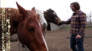 13K views · 36 reactions |  A BOLDOGSÁG PILLANATAI – A BIZALOM 爐 Az...