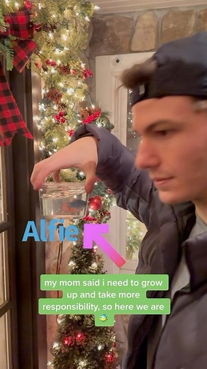 named after the great Alfie Solomons, however my mom was not impressed with my responsibility😭🐠 | Pier Dalessandro