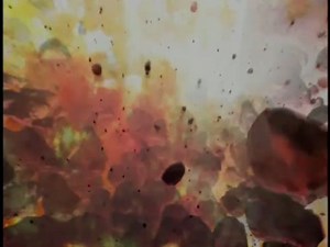 Science & Weather Season 1 Episode 1