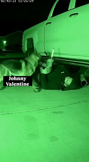 1.1M views · 1.6K reactions | When you hide under the porch but the security system has four legs | Johnny Valentine | Facebook