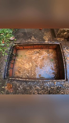 18K views · 153 reactions | The Drain Unblockers (67) #sewer #drainunblocking #diy-QUNpOKyugIE | Andrew Wilkinson | Facebook