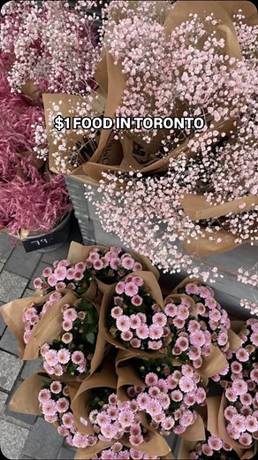 sofia | toronto lifestyle & beauty creator on Instagram: "food for $1 in toronto ?! yes please ✨ #toronto #torontolife #torontoactivities #torontoeats #torontofood #todotoronto #torontodeals"