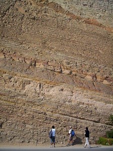 Bed (geology) - Alchetron, The Free Social Encyclopedia
