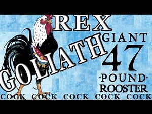 REX GOLIATH WINE COMMERCIAL