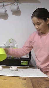 Fascinația copiilor cu animalele de companie nu are limite! În copilăria mea, am apucat să-mi iau odată .. papagali. Frumoși, colorați, unul era verde cu alb și altul albastru cu alb. Pereche, speram să-mi facă pui și să mă înbogățesc! :) Doar că, după ce am cheltuit o grămadă din banii munciți de mine, pe iubăreții ăia și pe o cușcă, mi-am dat seama că mai au nevoie de ceva calcare de ros, de adăpătoare și de , . . . da! de mâncare! care la bugetul meu de atunci, era scumpă! Pe deasupra , trebu