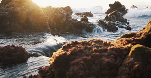 Video by Peter Fowler on Pexels