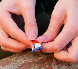 11K views · 14 reactions | Cómo sobrevivir solo en la naturaleza | Ideas en 5 minutos Familia | Facebook