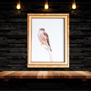 Merlin Fotografie im Holzrahmen | Vogel Wand dekor | Wohndeko | Vogelfotografie | Tierfotografie - Etsy.de