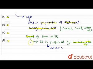 lactic acid bacteria convert milk into curd and improves its nutritiional quality by enhancing