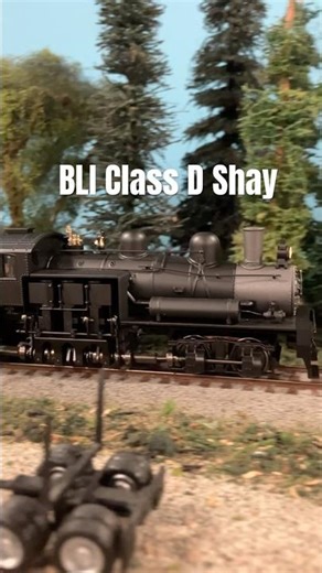Ho scale model Class D Shay locomotive hauling a train of timber.