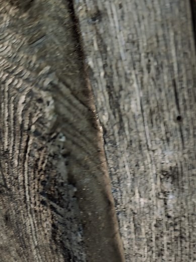 We explored with permission the most preserved privately owned ghost town in the Black Hills! #HistoryBelowThePinesTV #HistoryBelowThePines #BlackHills #FYP