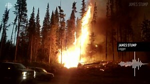 35K views · 270 reactions | Logger James Stump describes what it's like being near the Shovel Lake wildfire. Read more: www.cbc.ca/1.4788916 | CBC Vancouver | Facebook